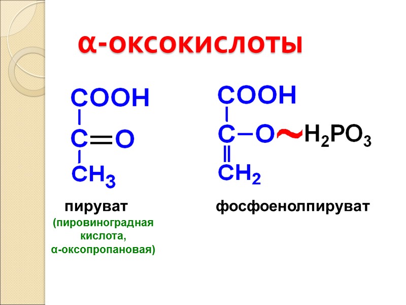 α-оксокислоты пируват            